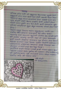 पल्सार 208x300