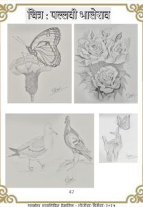 चित्र पल्लवी भालेराव chitra